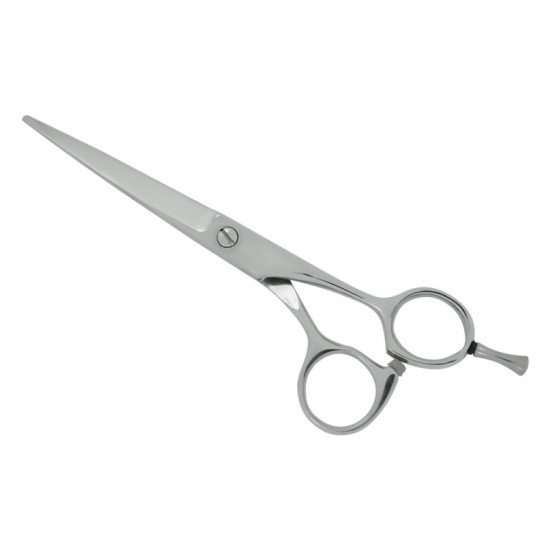 Professional Hair Cutting Scissors