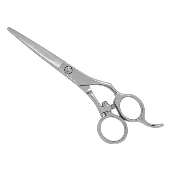 Professional Hair Cutting Scissors