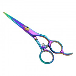 Professional Hair Cutting Scissors