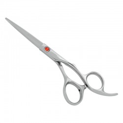 Professional Hair Cutting Scissors