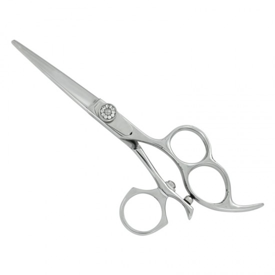 Professional Hair Cutting Scissors