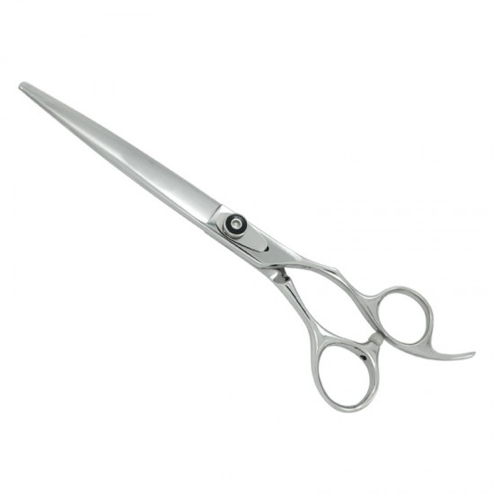 Professional Hair Cutting Scissors