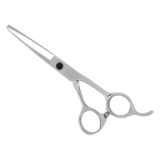 Professional Hair Cutting Scissors