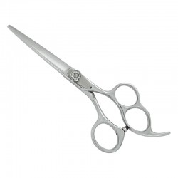 Professional Hair Cutting Scissors