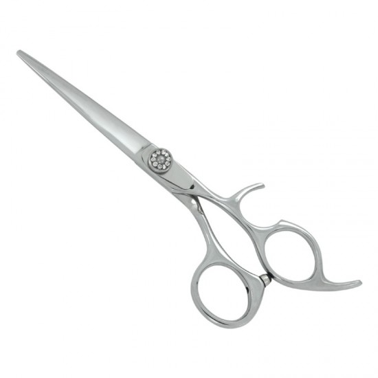 Professional Hair Cutting Scissors