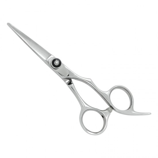 Professional Hair Cutting Scissors