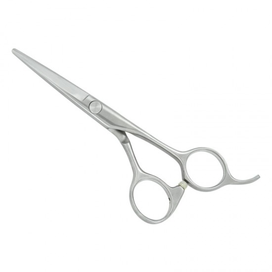 Professional Hair Cutting Scissors